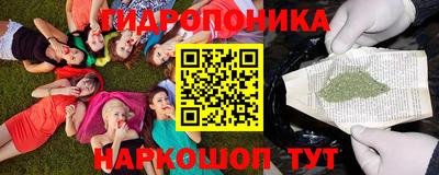 ALPHA-PVP Камышлов